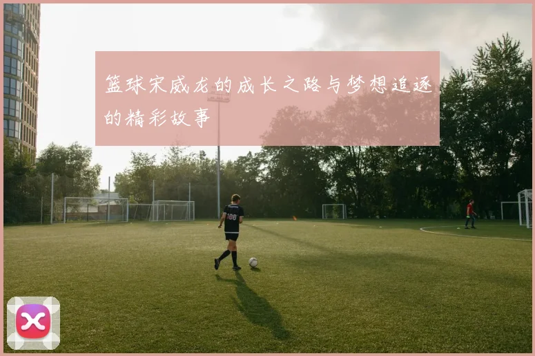 篮球宋威龙的成长之路与梦想追逐的精彩故事