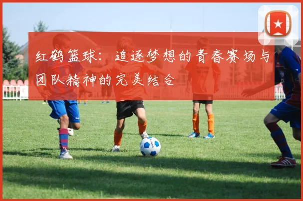 红鹤篮球：追逐梦想的青春赛场与团队精神的完美结合