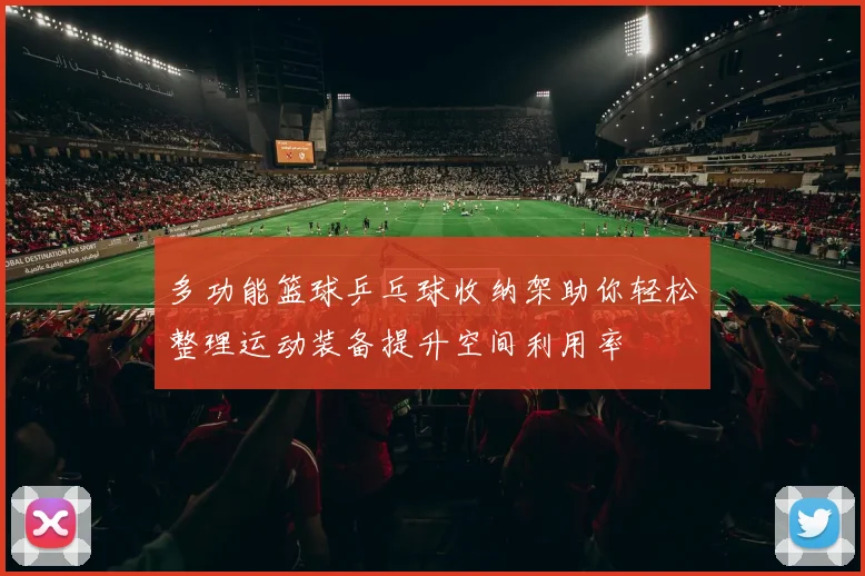 多功能篮球乒乓球收纳架助你轻松整理运动装备提升空间利用率