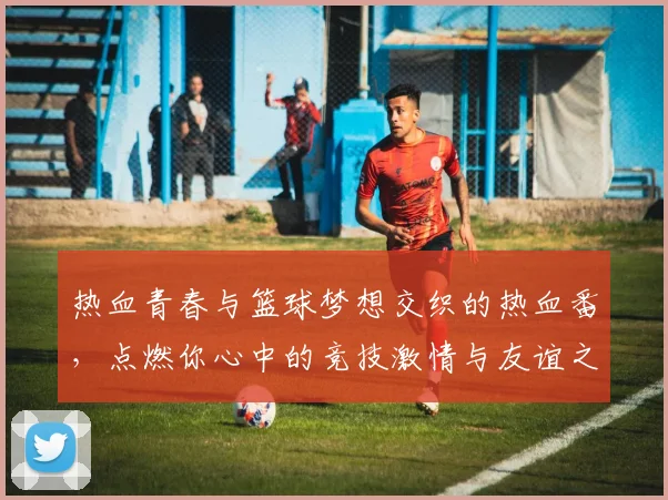 热血青春与篮球梦想交织的热血番，点燃你心中的竞技激情与友谊之火