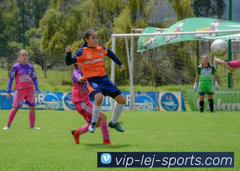 乐竞体育APP 封面图